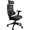 Кресло UNIQUE Ergotech CM-B137A-4 (черный)