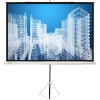 Проекционный экран CACTUS Triscreen CS-PST-150x150