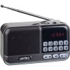 Радиоприемник Perfeo Aspen i20 PF-B4060