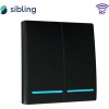 Выключатель Sibling Powerlight-M2B 2-канальный