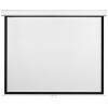 Проекционный экран Future Vision Wall 240x240 W240SMW